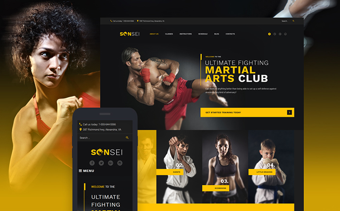SonSei WordPress Theme